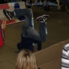 festa-insieme2_79